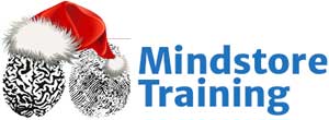 mindstore-logo-web-christmas1